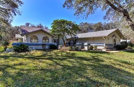 A picture containing grass, outdoor, tree, house  Description automatically generated
